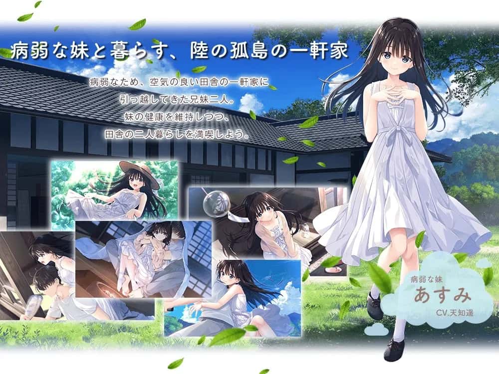 视觉数据1